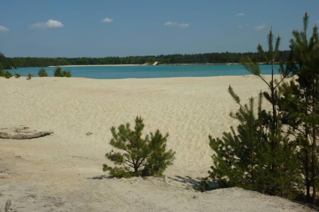 Sfeervolle Villa In Gasselte Drenthe Bij Hemelriek エクステリア 写真