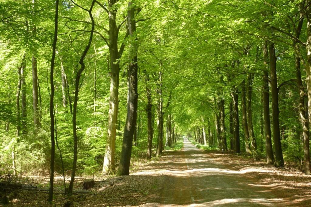 Sfeervolle Villa In Gasselte Drenthe Bij Hemelriek エクステリア 写真